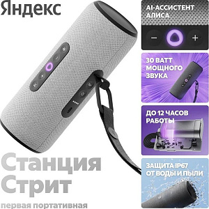 Умная колонка Яндекс Станция Стрит серый YNDX-00030GRY